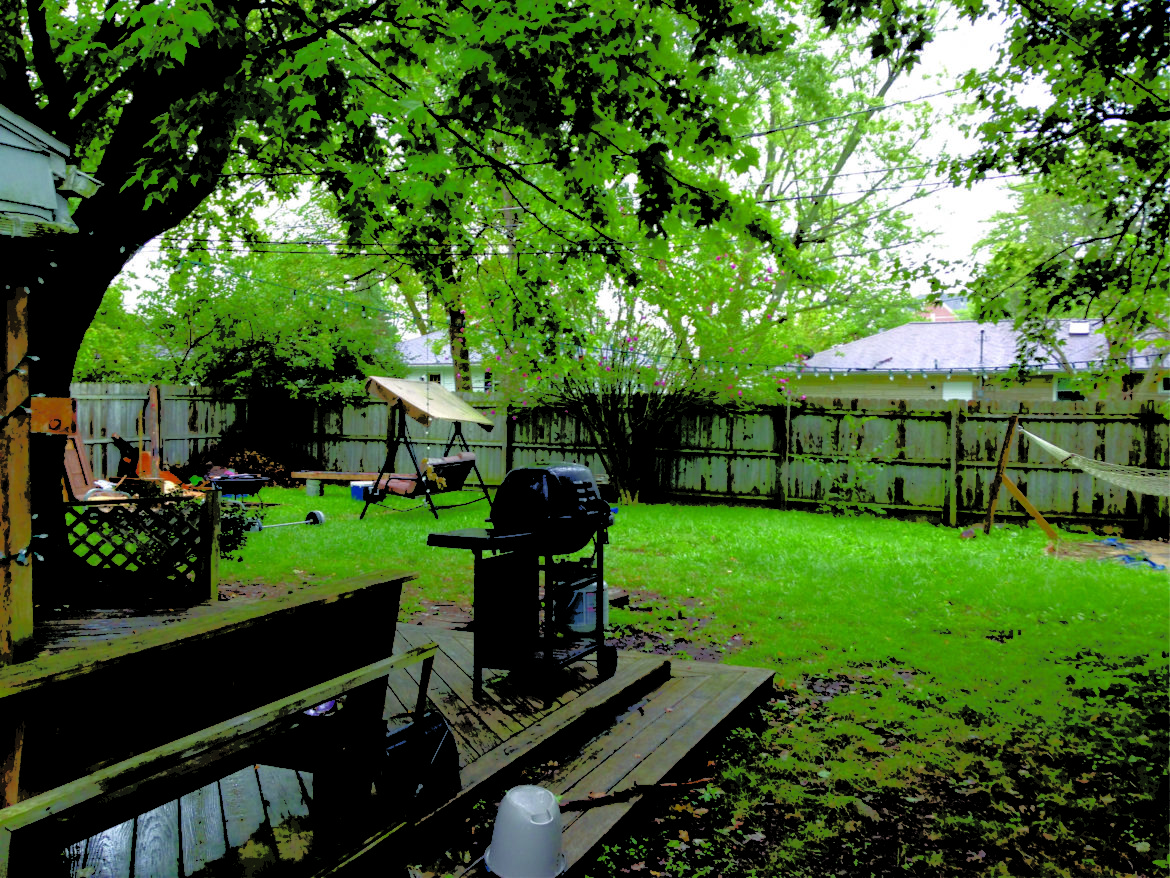 1313-W-Abbott-Back-yard.jpg